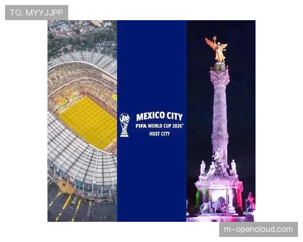 2026年世界杯组委会考察慕尼黑、柏林等欧洲承办城市筹备进展